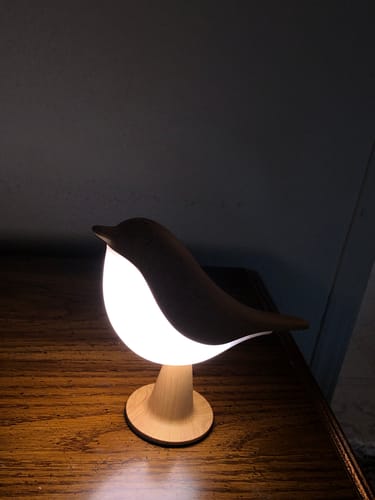 Customer's Glow Bird lamp glowing with a warm light on a wooden surface in a dark room.