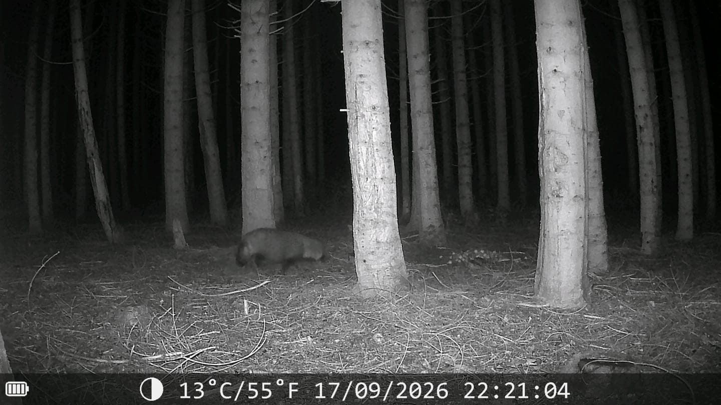 Customer photo review of Siltcon® Wildcamera met Zonnepaneel 8K