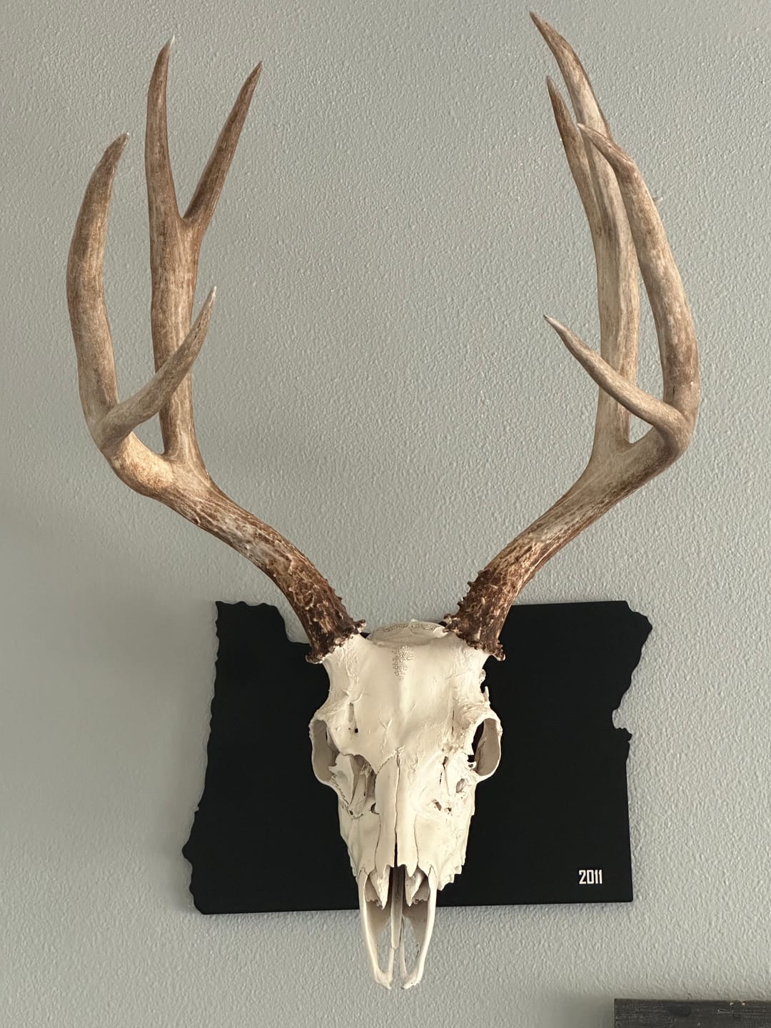 Customer photo review of Medium Game Plaques