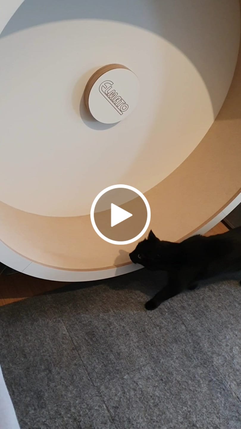 Customer video review of Elmato Katzenlaufrad Rocky Wandlaufrad