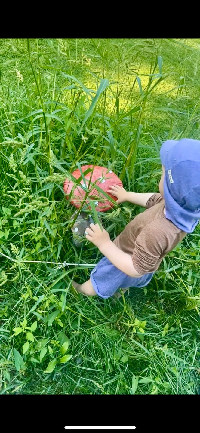 Customer photo review of Sommermerino Kinder T-Shirt mit der Falte