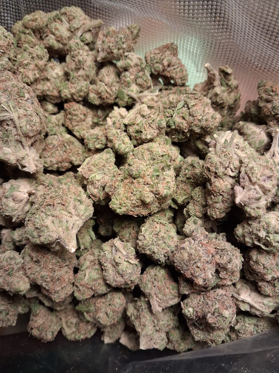 Customer photo review of Candy Gas THCA Flower