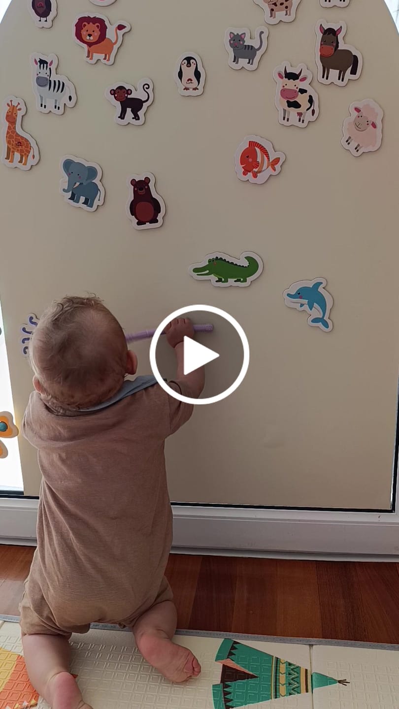 Customer video review of Meet The Animals (set of 20)