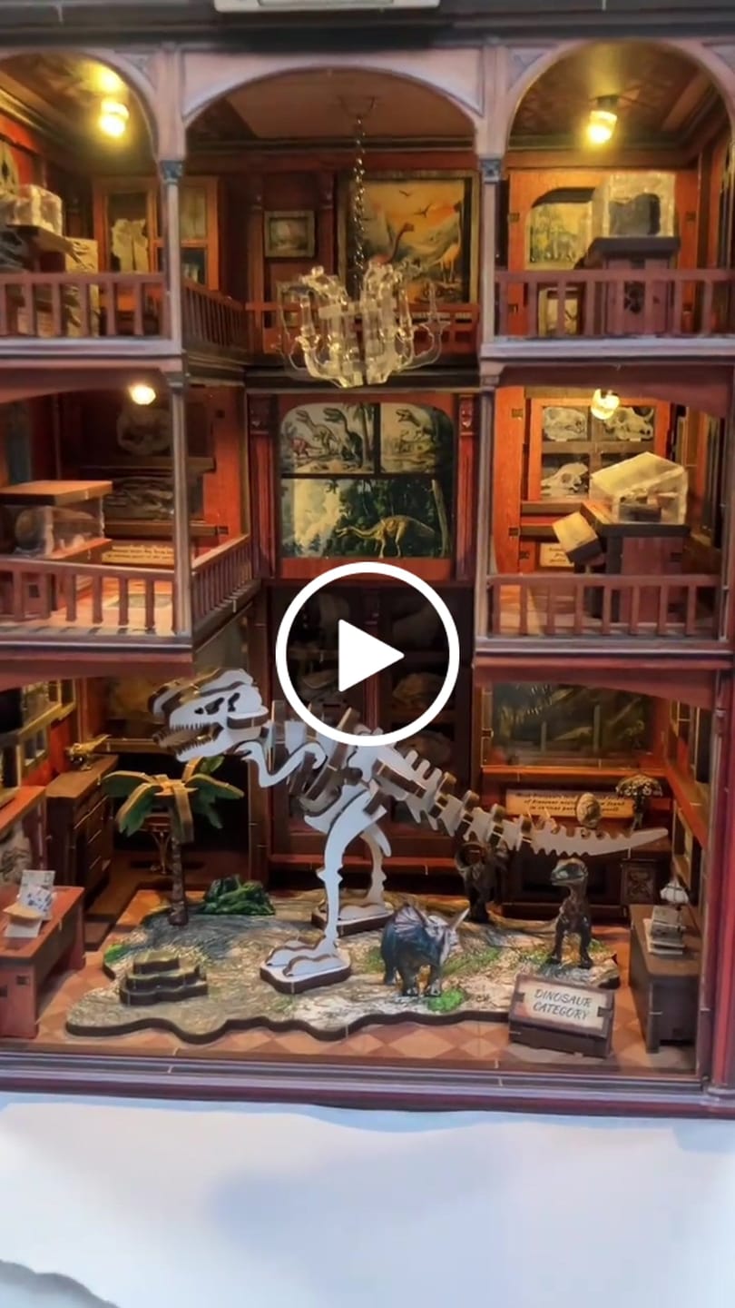 Customer video review of Natural history gallery | Fossil museum kit