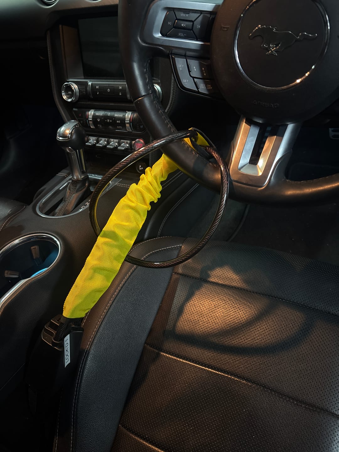 Customer photo review of Lock'd Car Defender — Visible Protection That Thieves Can't Ignore