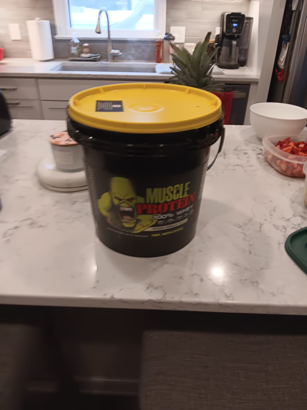 Customer photo review of Whey Protein Powder Bucket