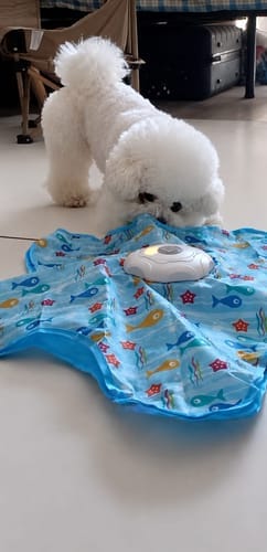 Customer photo review of Pawzzle™ Interactive Dog Toy