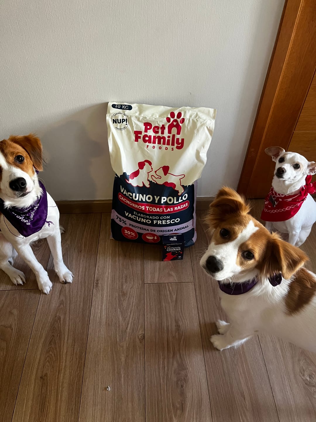Customer photo review of PetFamily Foods Cachorros