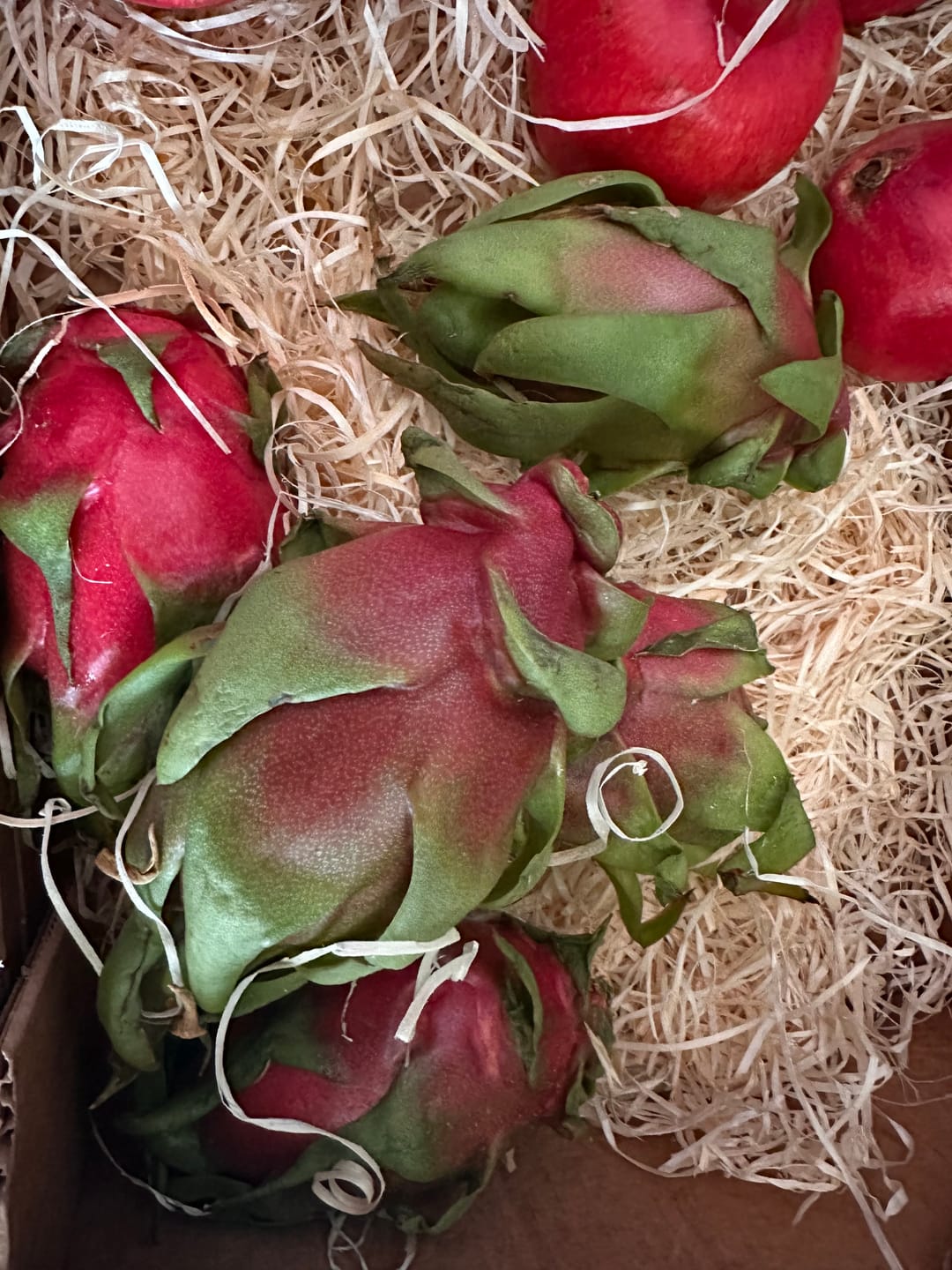 Customer photo review of Drachen-Passion Box von Julian Sparpreis %