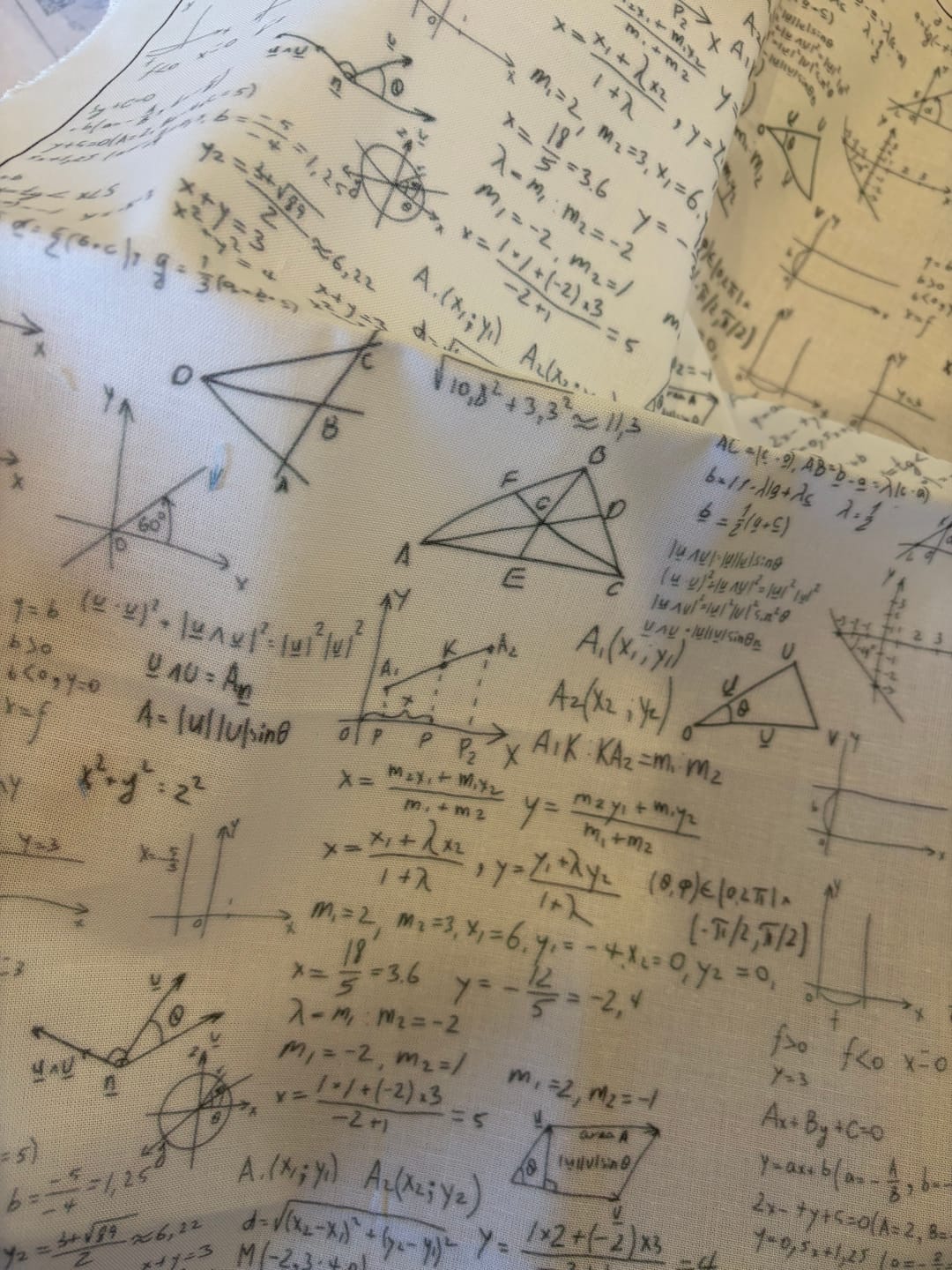 Customer photo review of Mathematical Graphs & Equations Fabric