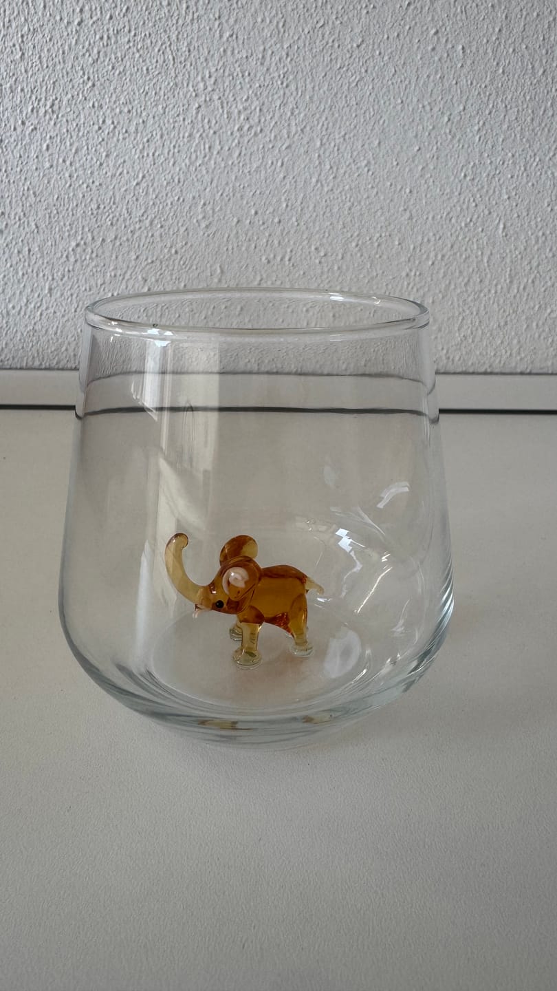 Customer photo review of Elephant Glass