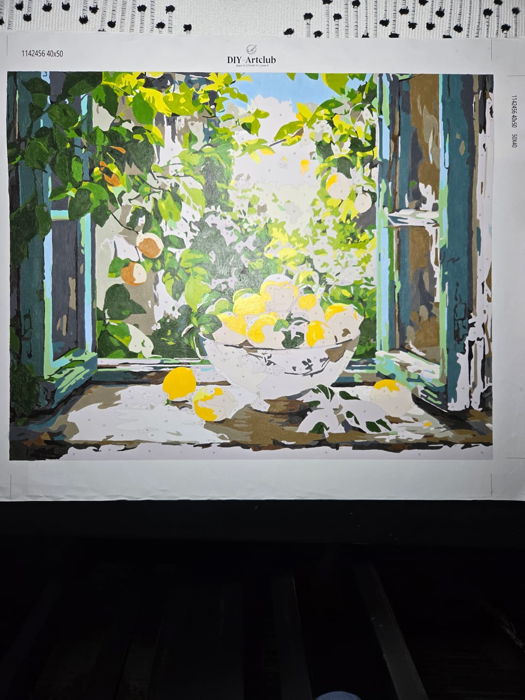 Customer photo review of Lemon Bowl by the Window | Paint by Number