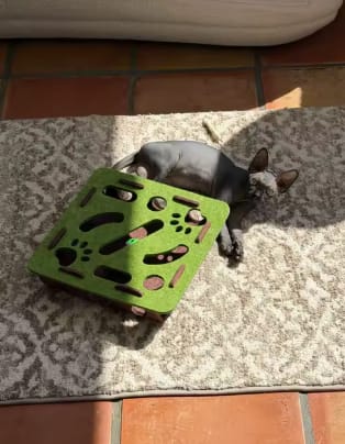 Customer photo review of Pawvly ™ - Cat Puzzle Box