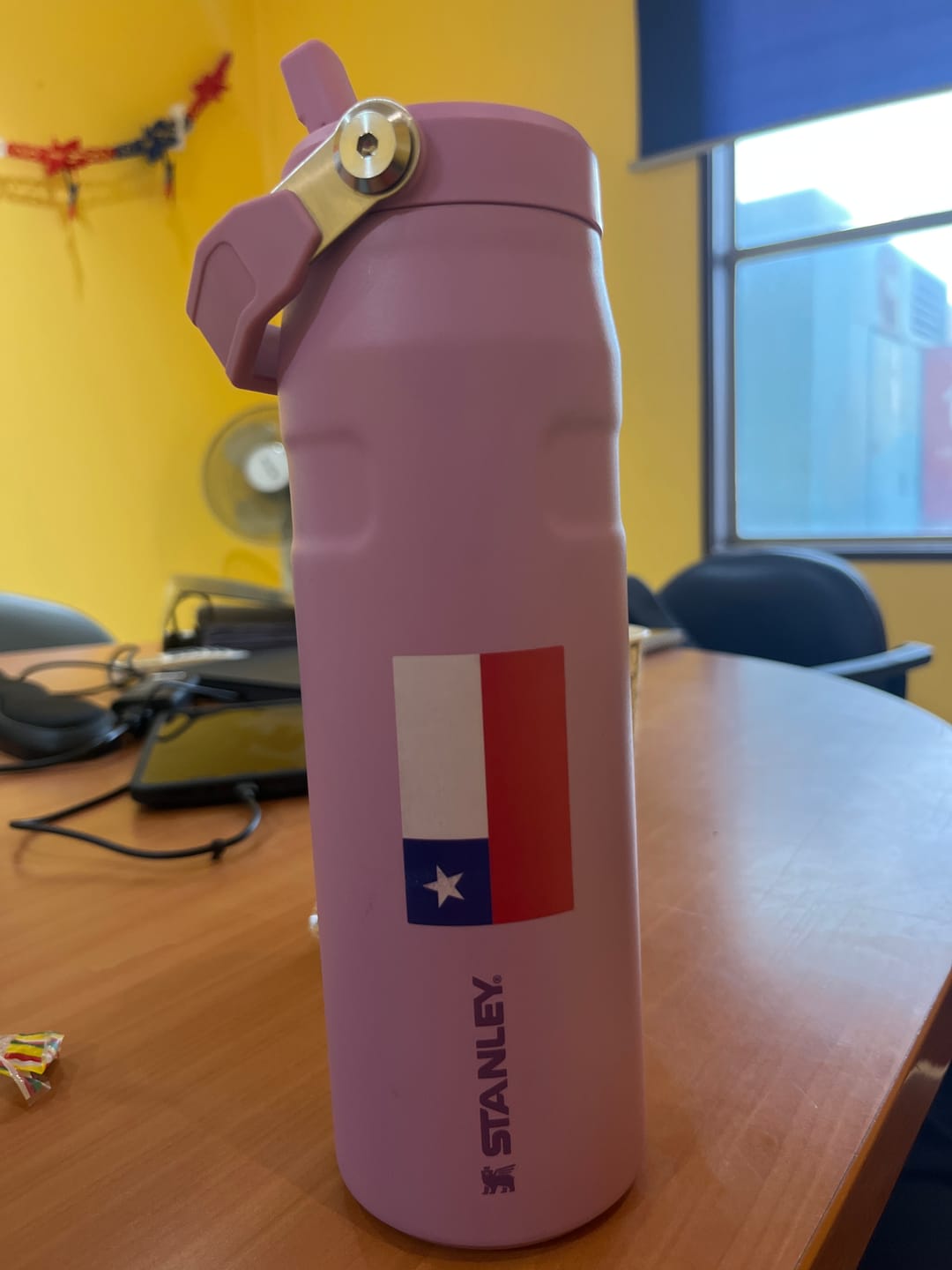 Customer photo review of Botella Térmica Flip Straw Aerolight Lilac | 710 ml