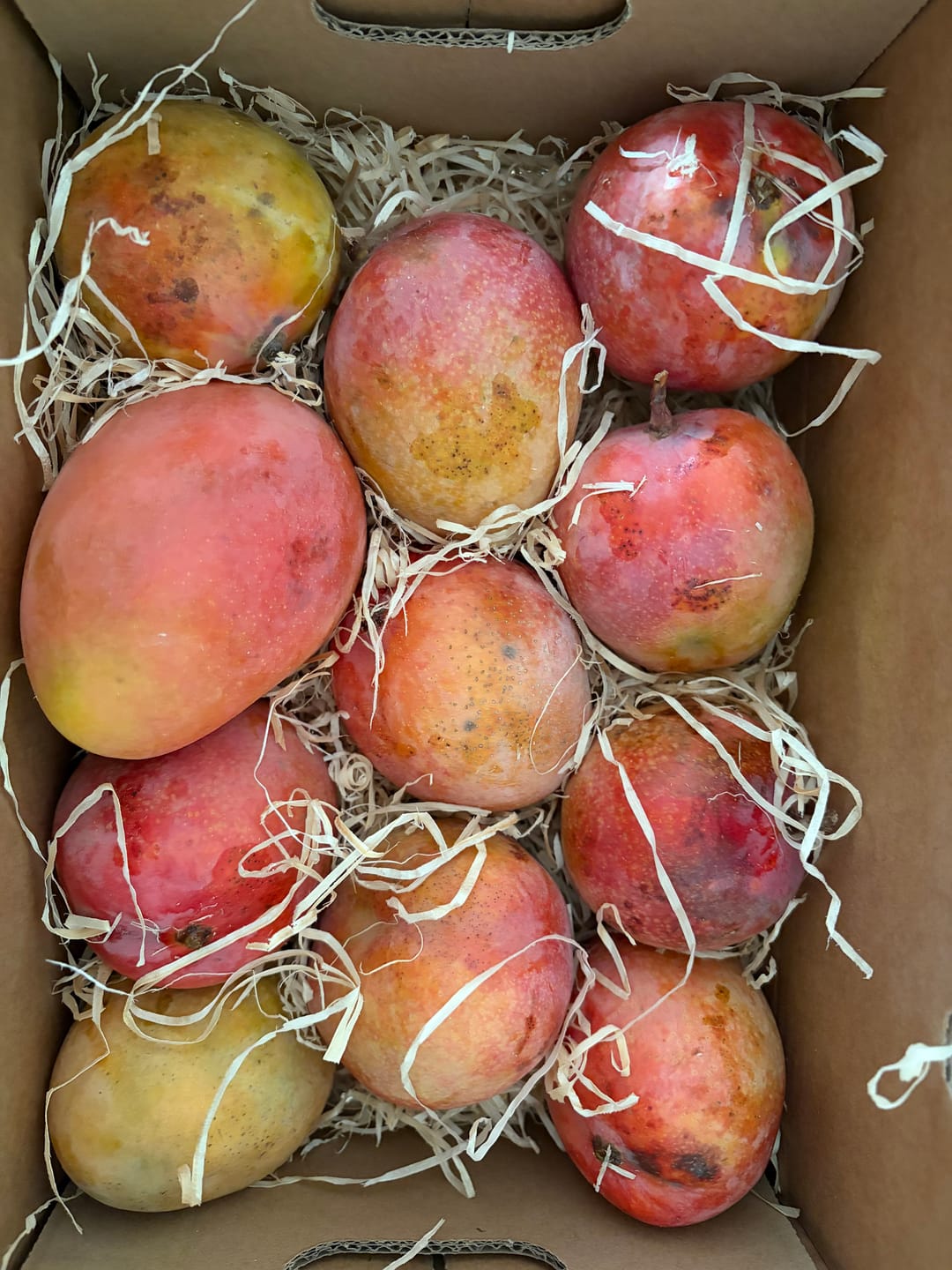 Customer photo review of Mini-Mango Tropigold von Antonio Aktionspreis %