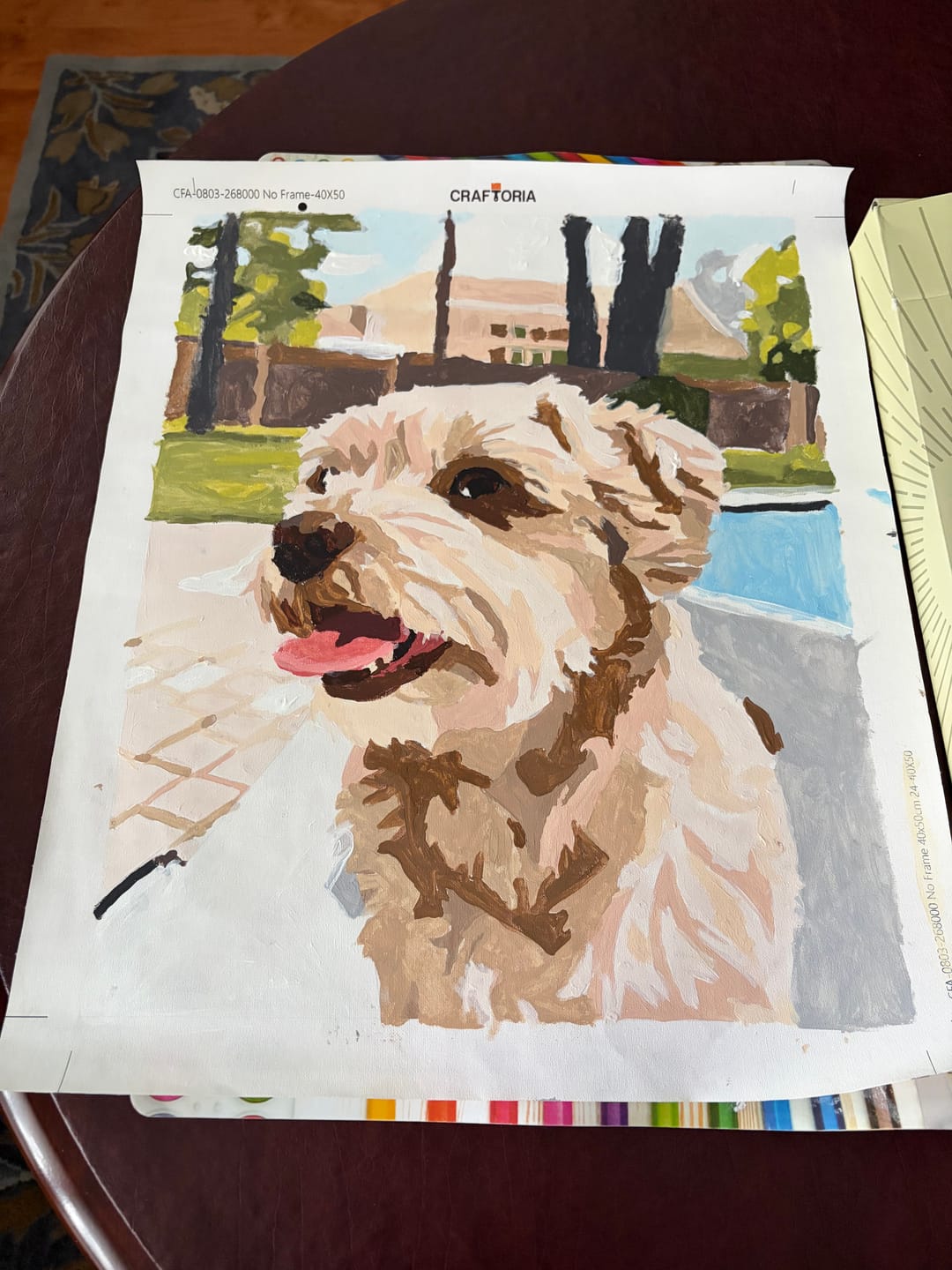 Customer photo review of Custom Paint By Numbers Kit