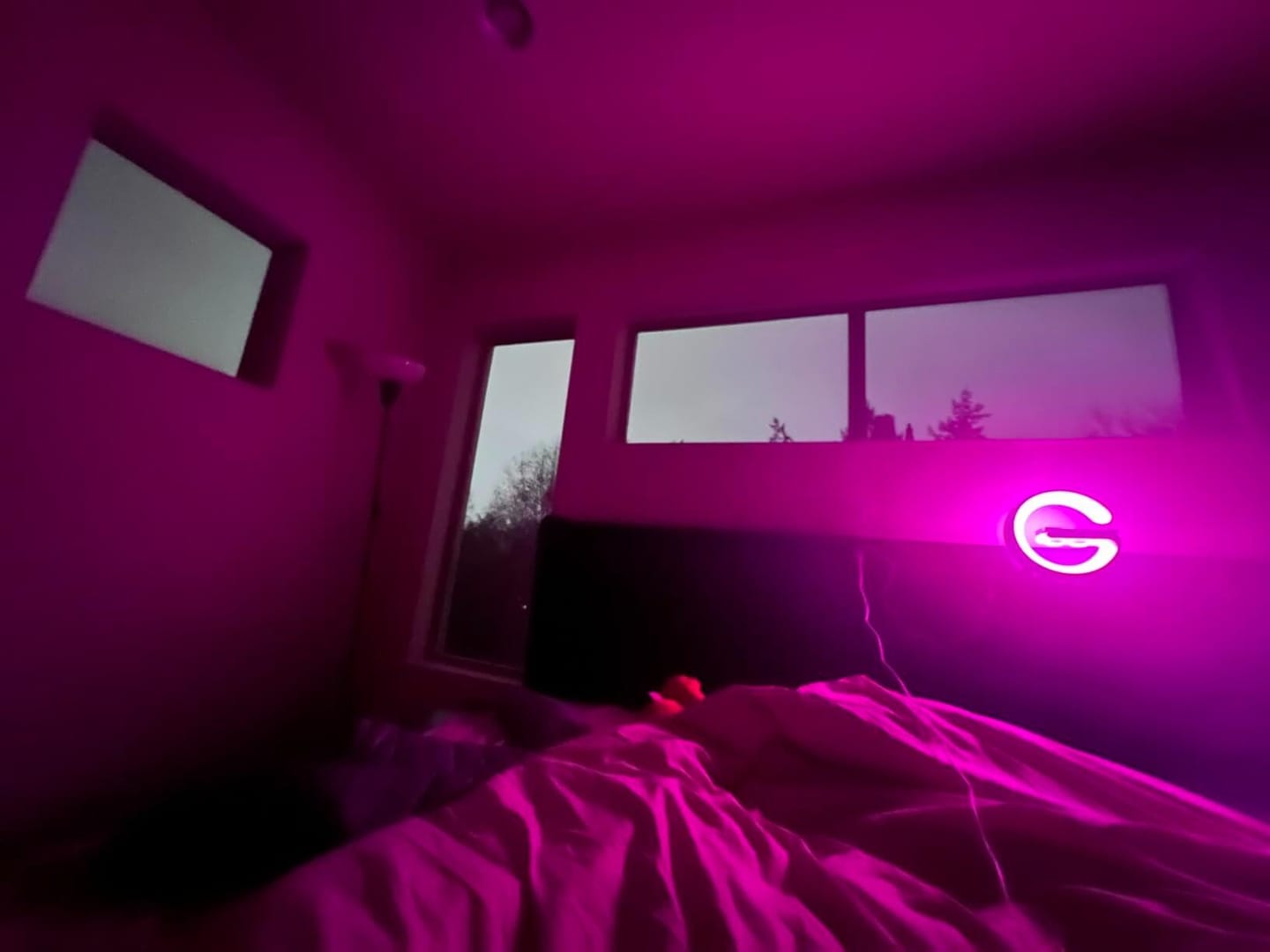 Customer photo review of Lumina Living G-Shaped Smart Lamp & Charger