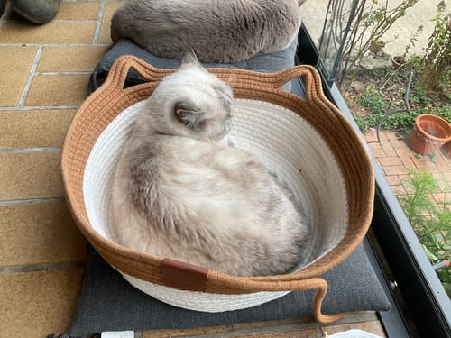 Customer's beige Fellnest Katzenkorb with a cat sleeping inside on a patio floor