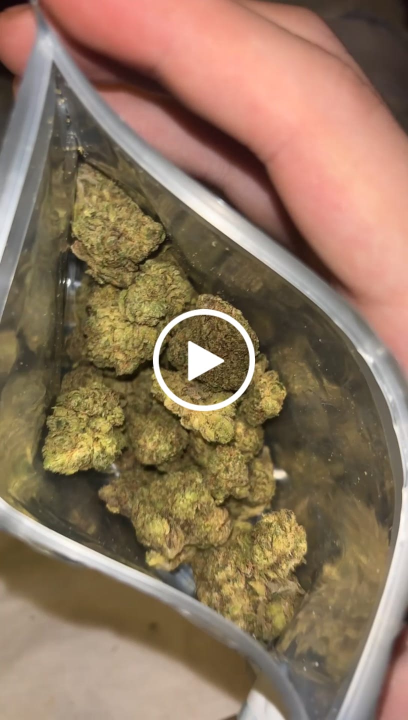 Customer video review of Toadlato THCA Flower