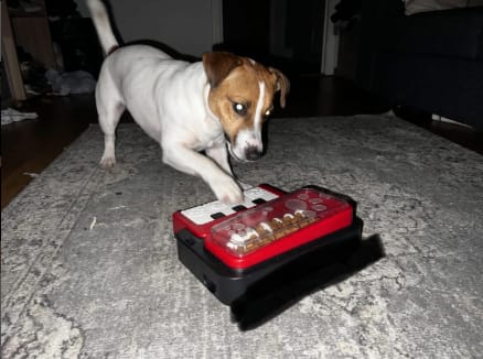 Customer photo review of Piano Interactivo