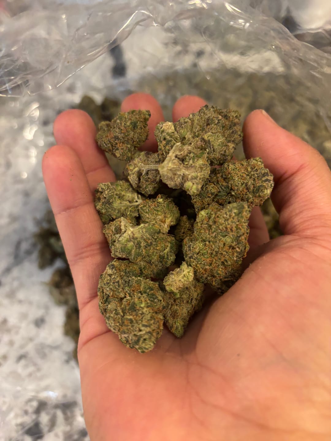 Customer photo review of Blueberry Muffins Indoor Mediums - Bulk Mediums - Indica