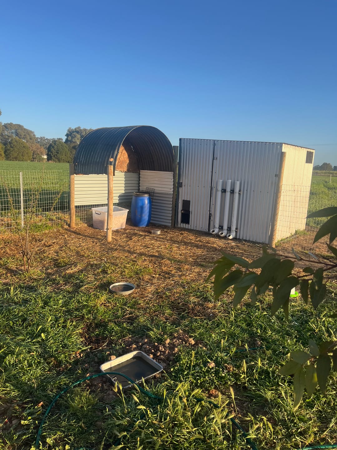 Customer photo review of Automatic Chicken Door – Auto Timer