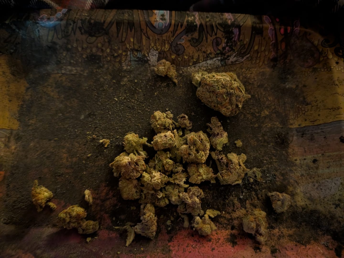 Customer photo review of Raspberry Kush - 28 Grams - Indica