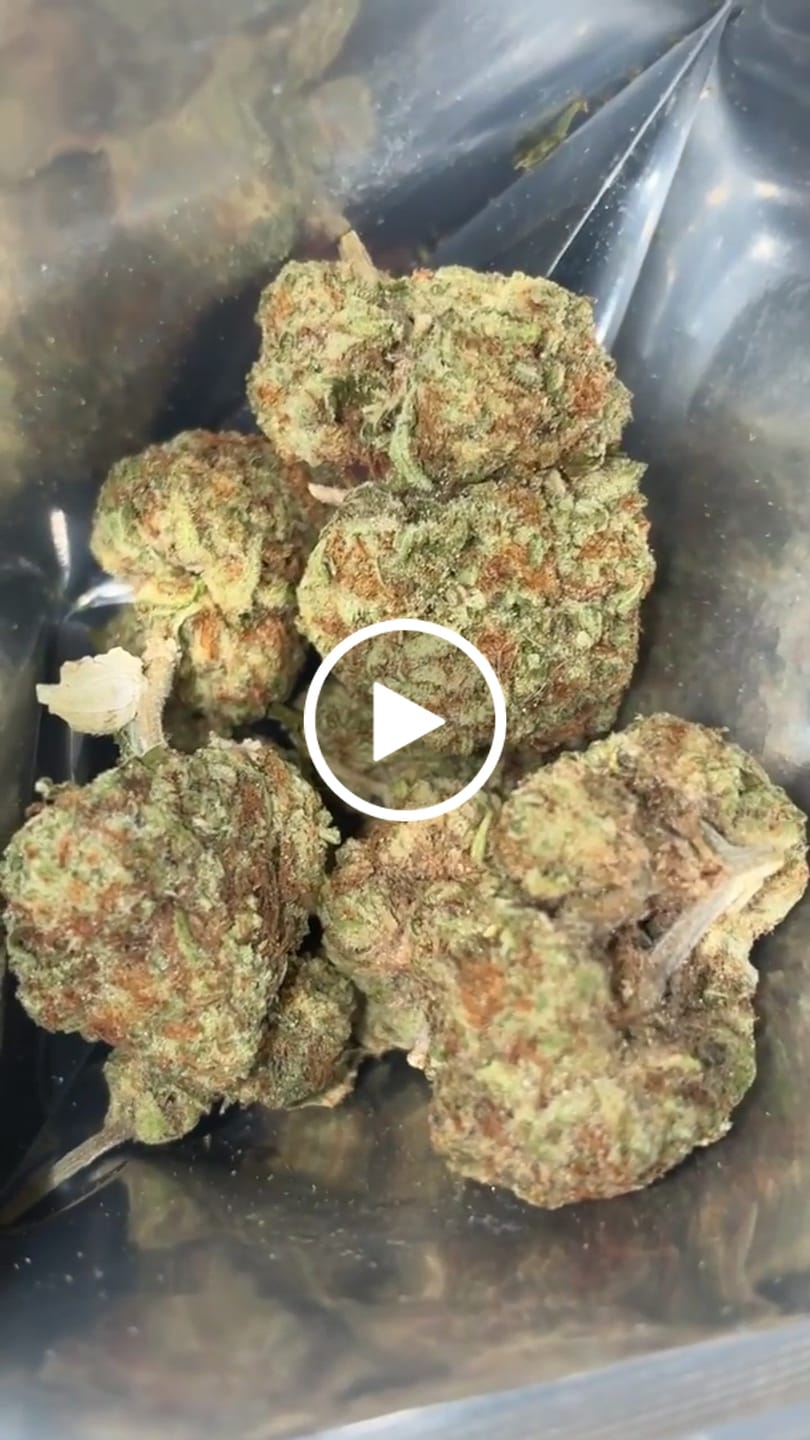 Customer video review of Acapulco Punch THCA Flower