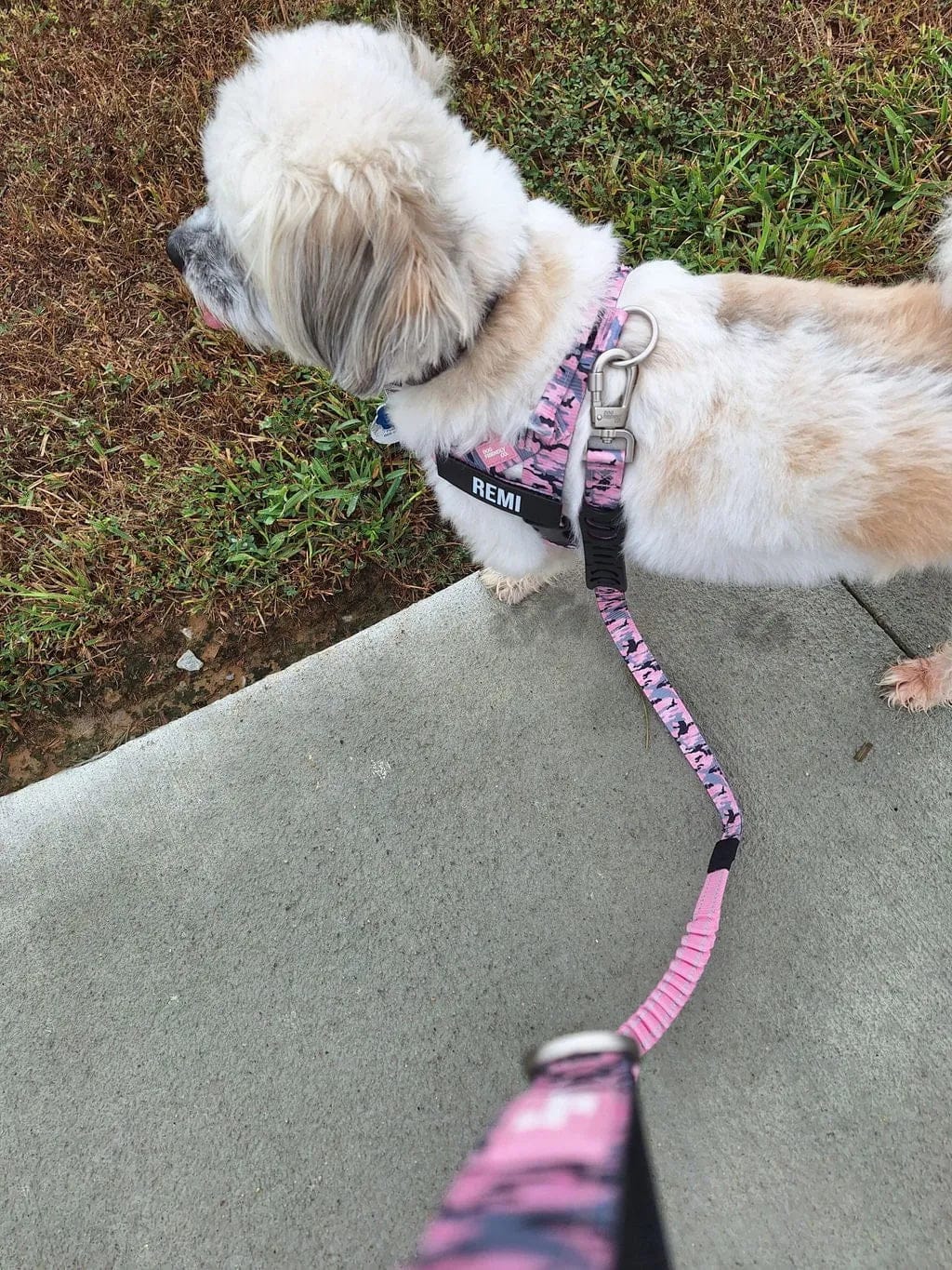 Customer photo review of Doginova™ | Arnés Antitirones para perros