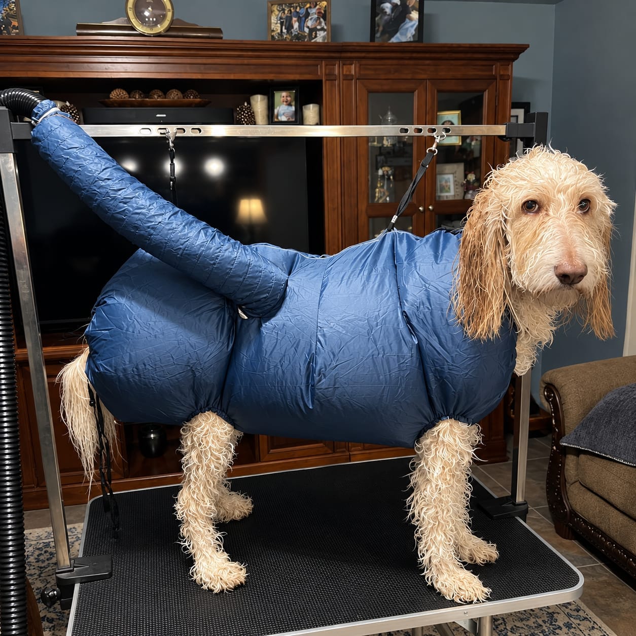 Customer photo review of PawNest ™ - Dog hair dryer