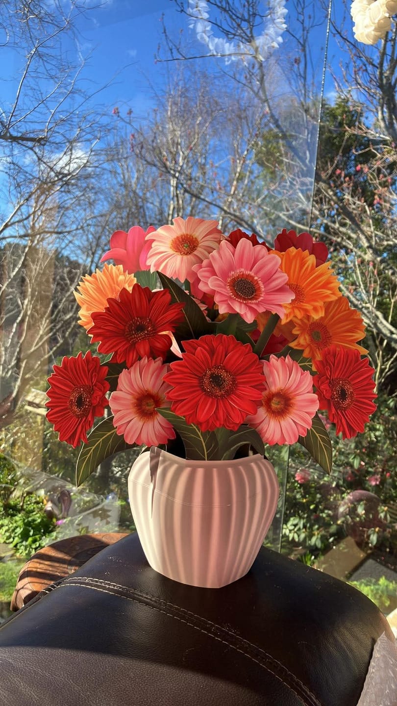 Customer photo review of Cheerful Gerberas Pop-Up Bouquet