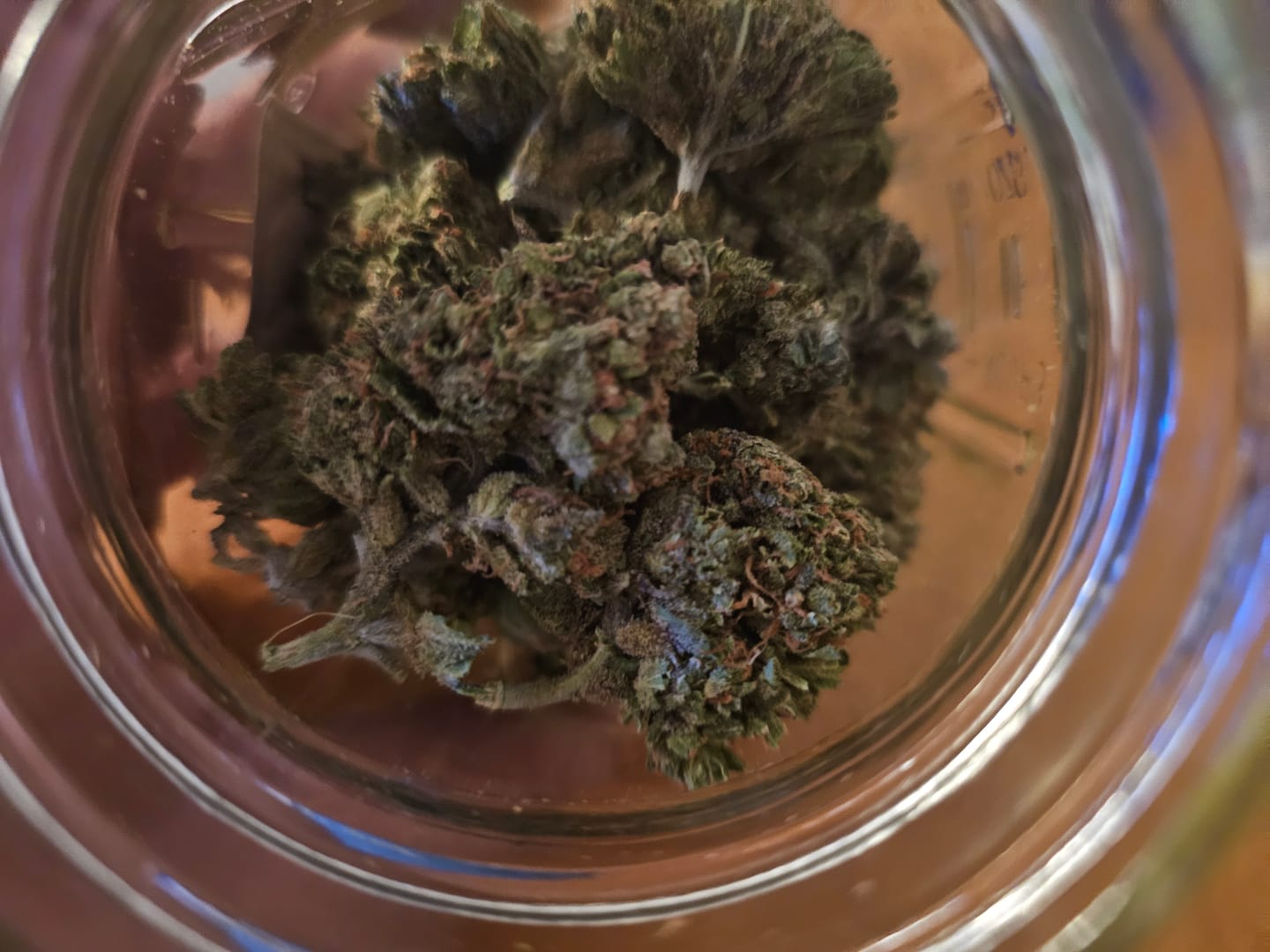Customer photo review of Cheap THCA Flower Ounce