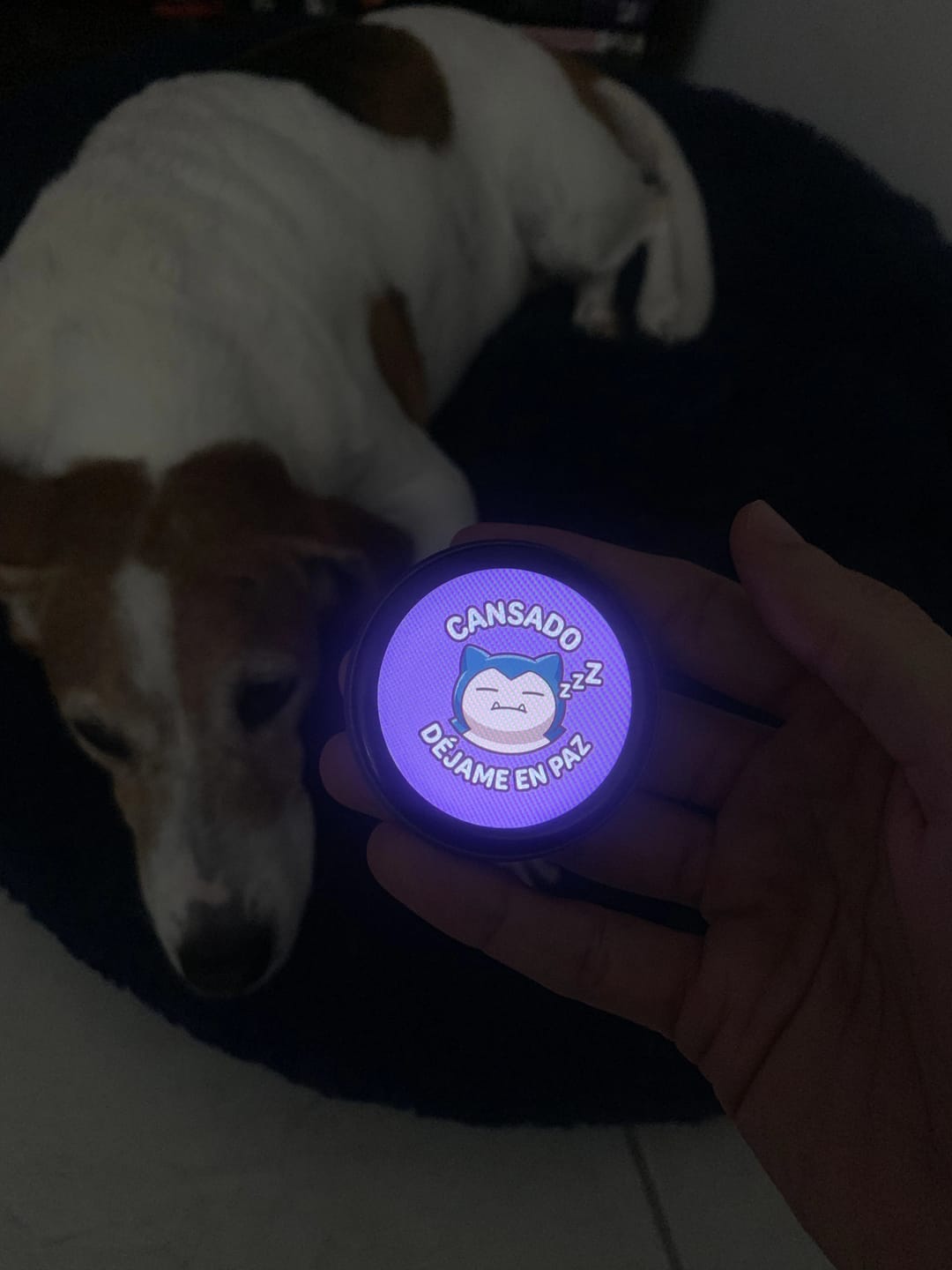 Customer photo review of Bit Pin | Poké Mood