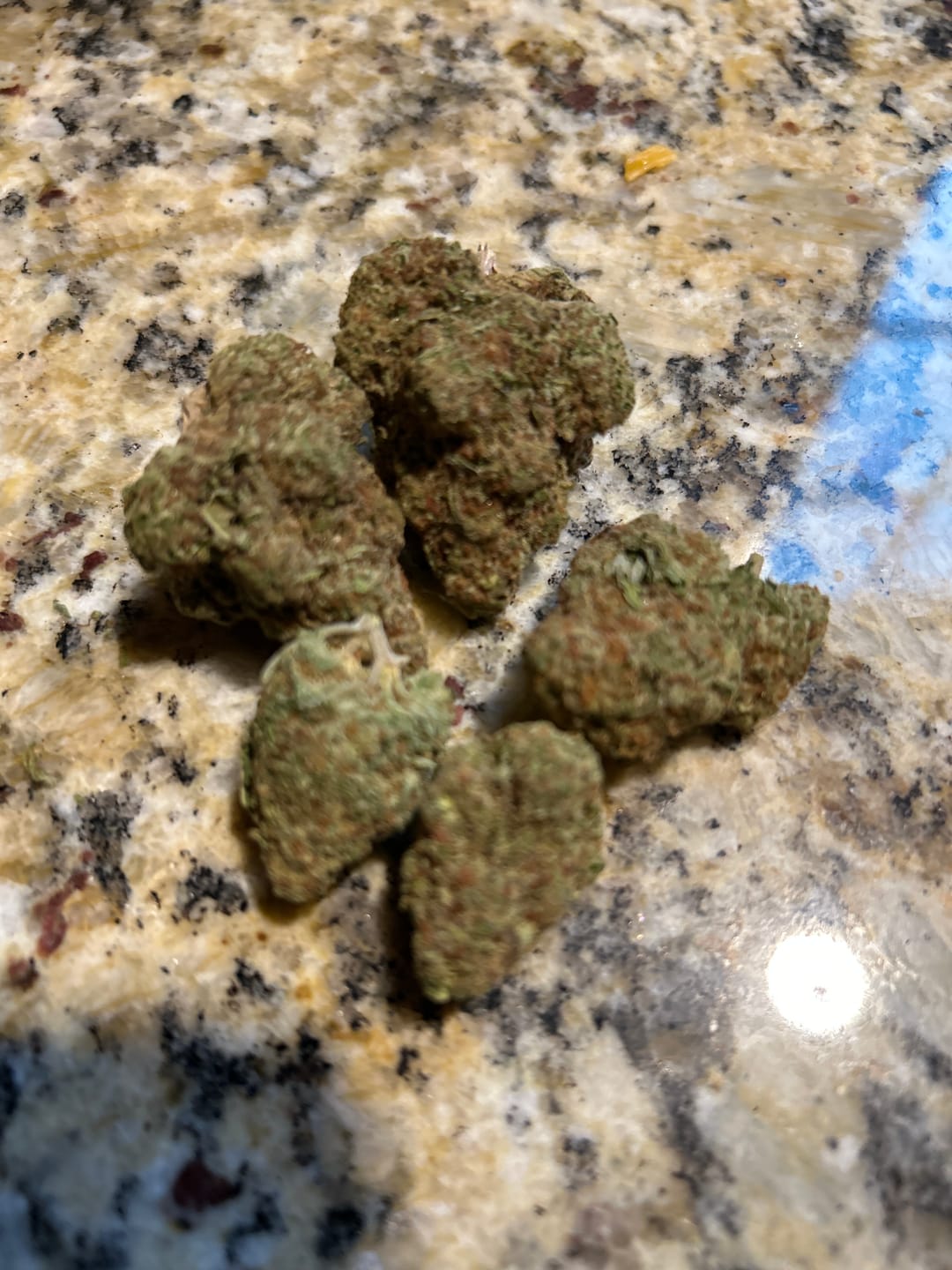 Customer photo review of Acapulco Punch THCA Flower