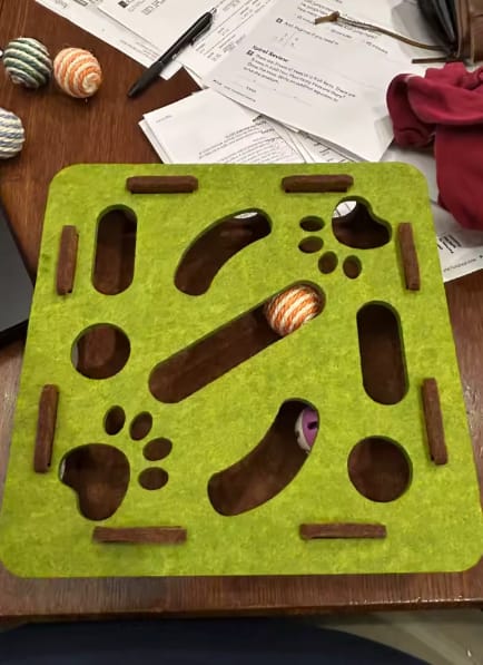 Customer photo review of Pawvly ™ - Cat Puzzle Box