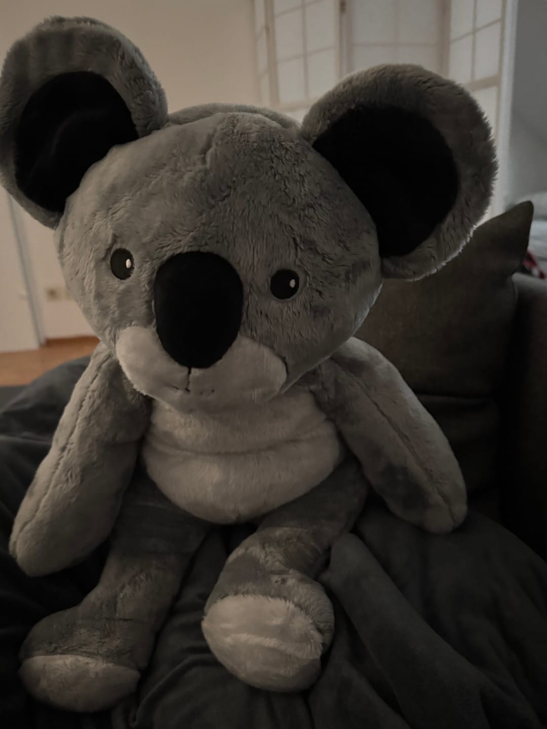 Customer photo review of Lotgenootje Koala 2kg