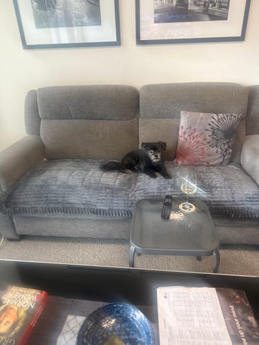 Customer photo review of Cosy Couch - Couch Cover