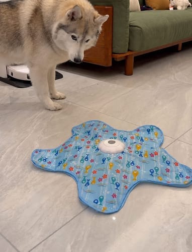 Customer photo review of Pawzzle™ Interactive Dog Toy