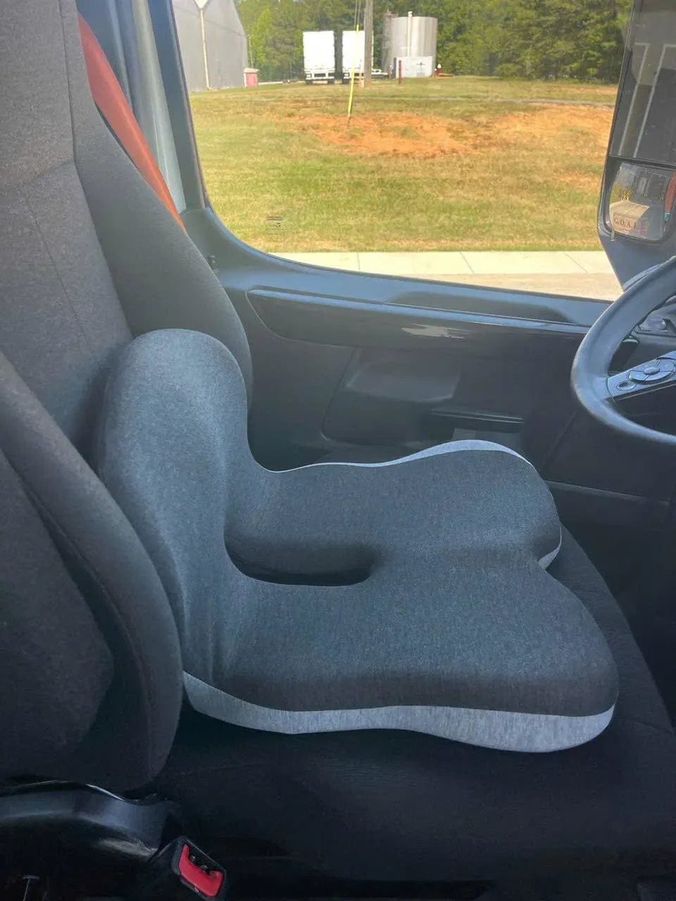 Customer photo review of Livara™ Orthopedic Cushion