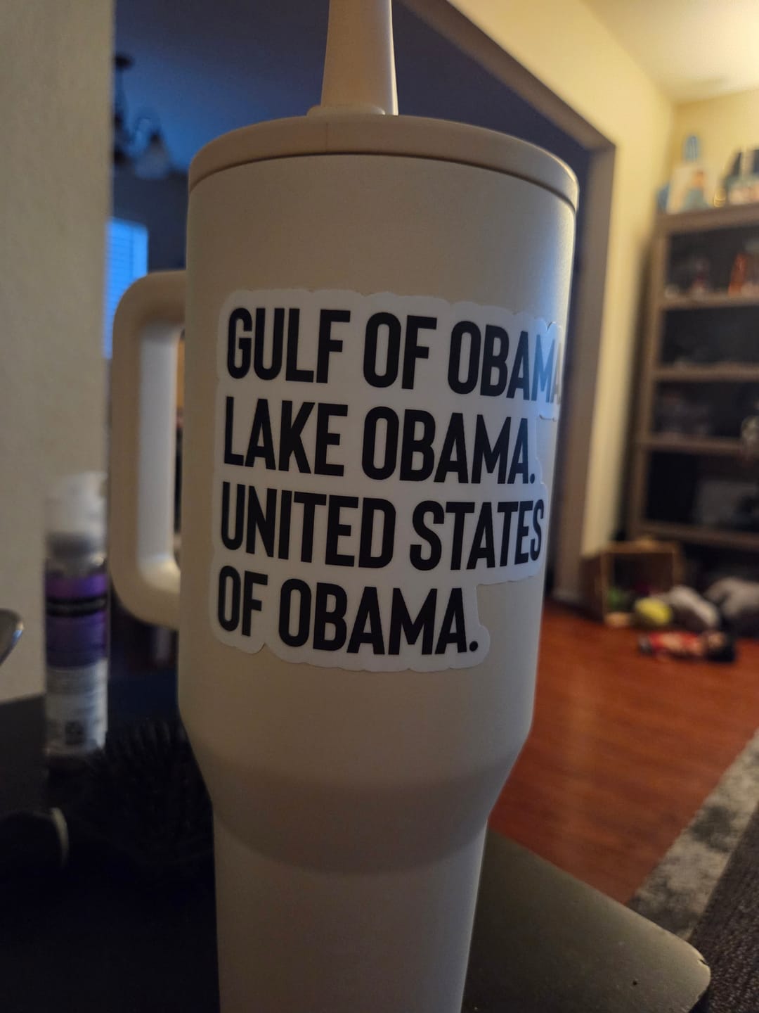 Customer photo review of Gulf of Obama. Lake Obama. United States of Obama Black/White Die Cut STICKER