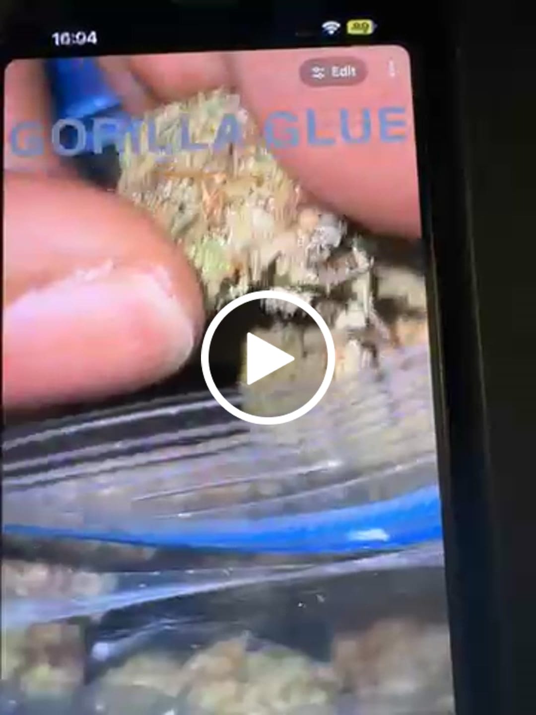 Customer video review of Gorilla Glue THCA Flower