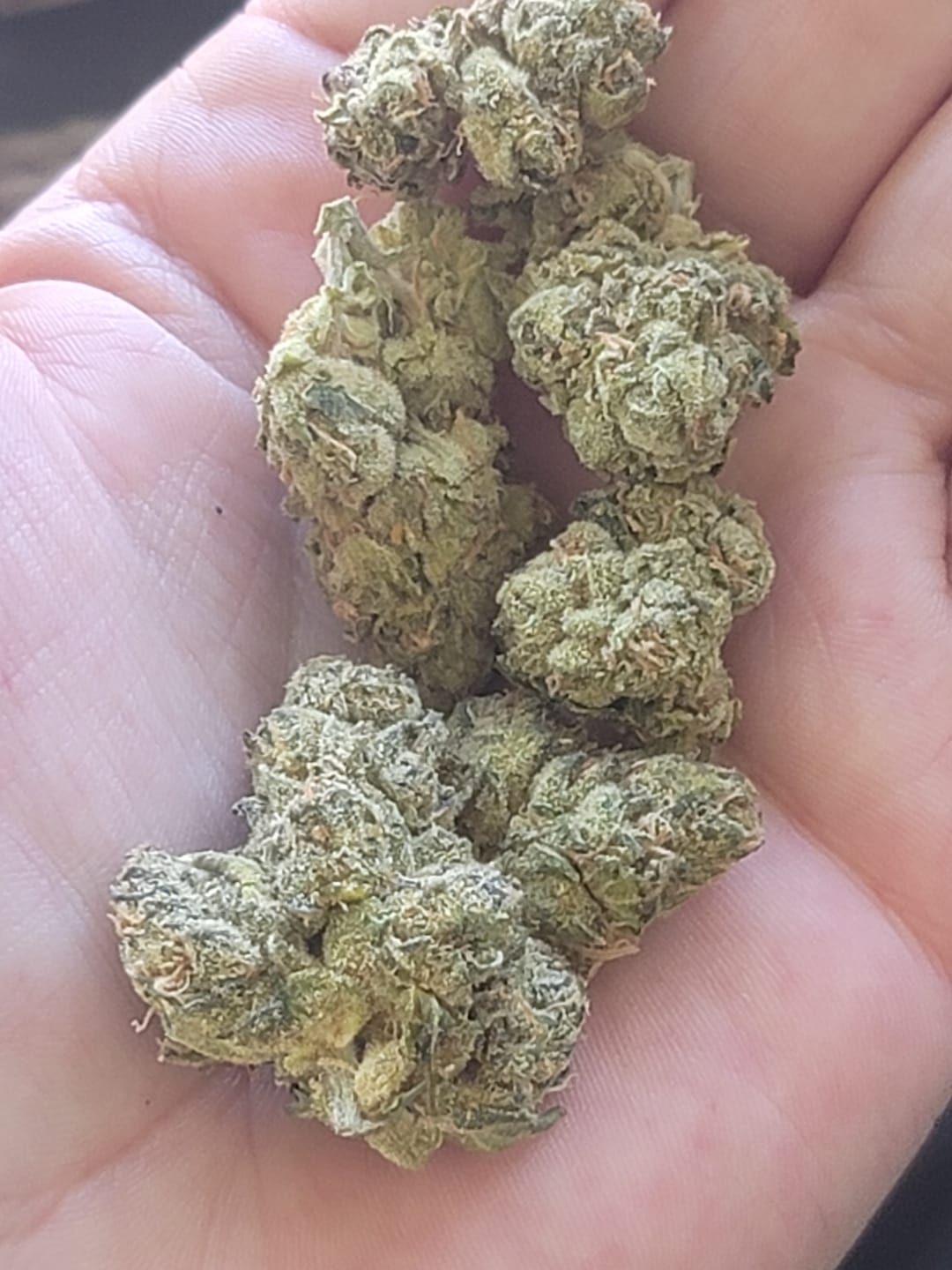 Customer photo review of Super Boof Smalls – 1oz