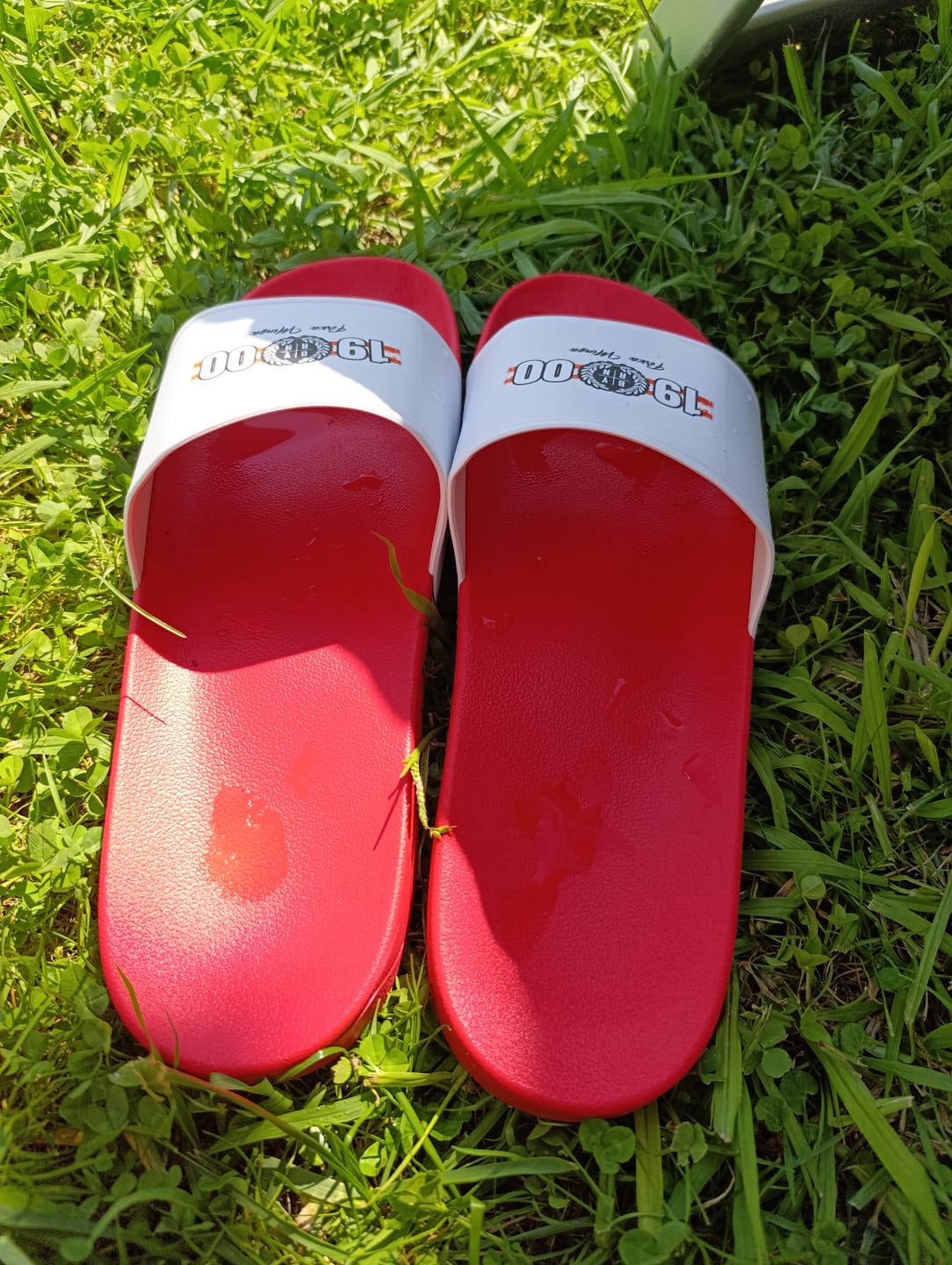 Customer photo review of 1900 - Slides