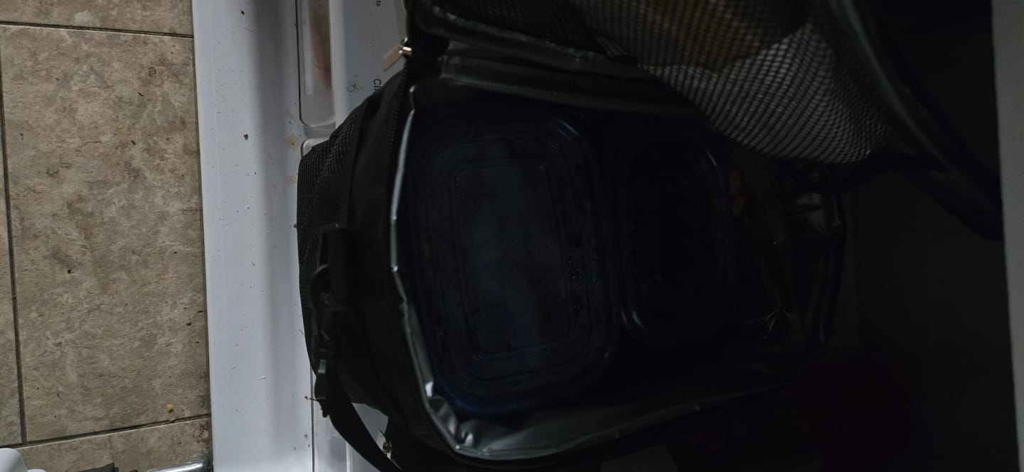 Customer photo review of Lunch Box