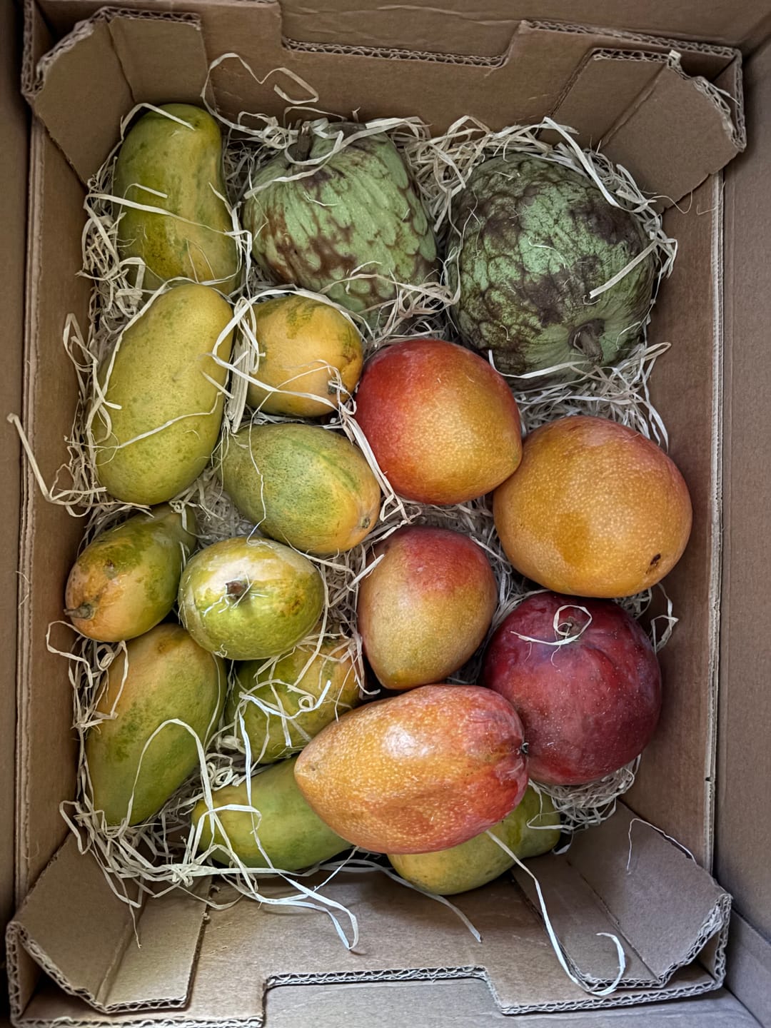 Customer photo review of Mango Honig Ataulfo Bio von Jaime Kennenlernpreis %