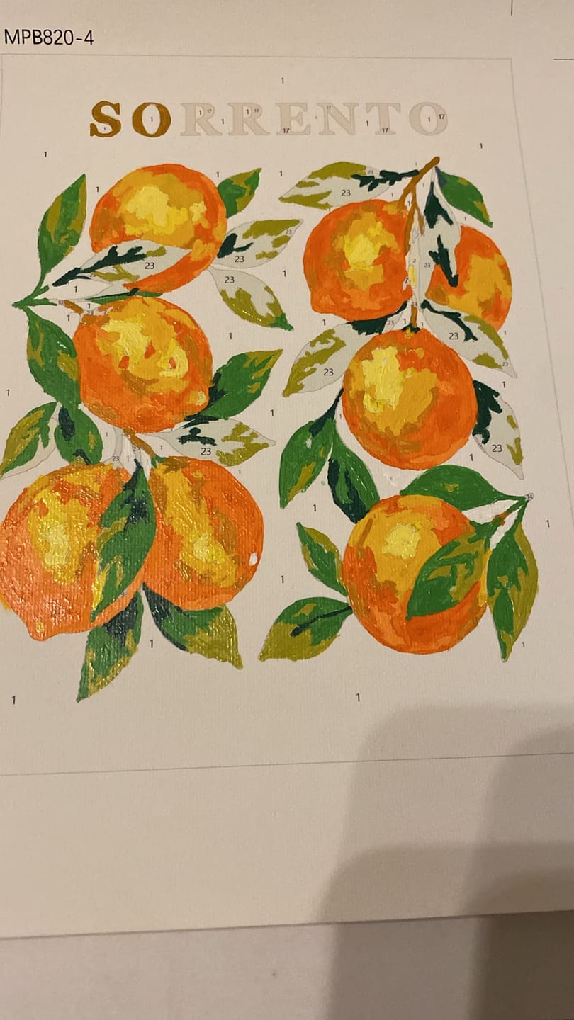 Customer photo review of 6 Mini Paintings - Italian Fruit & Drinks Set