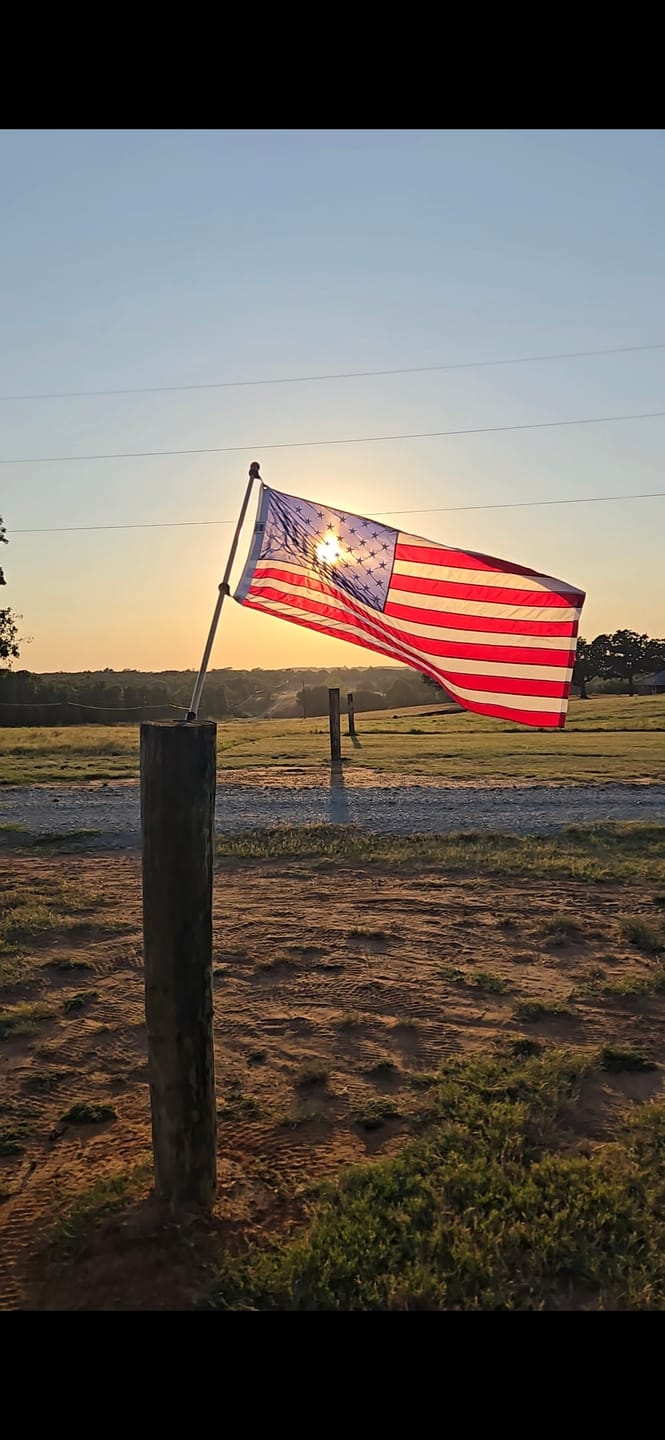Customer photo review of 3' x 5' American Flag Set