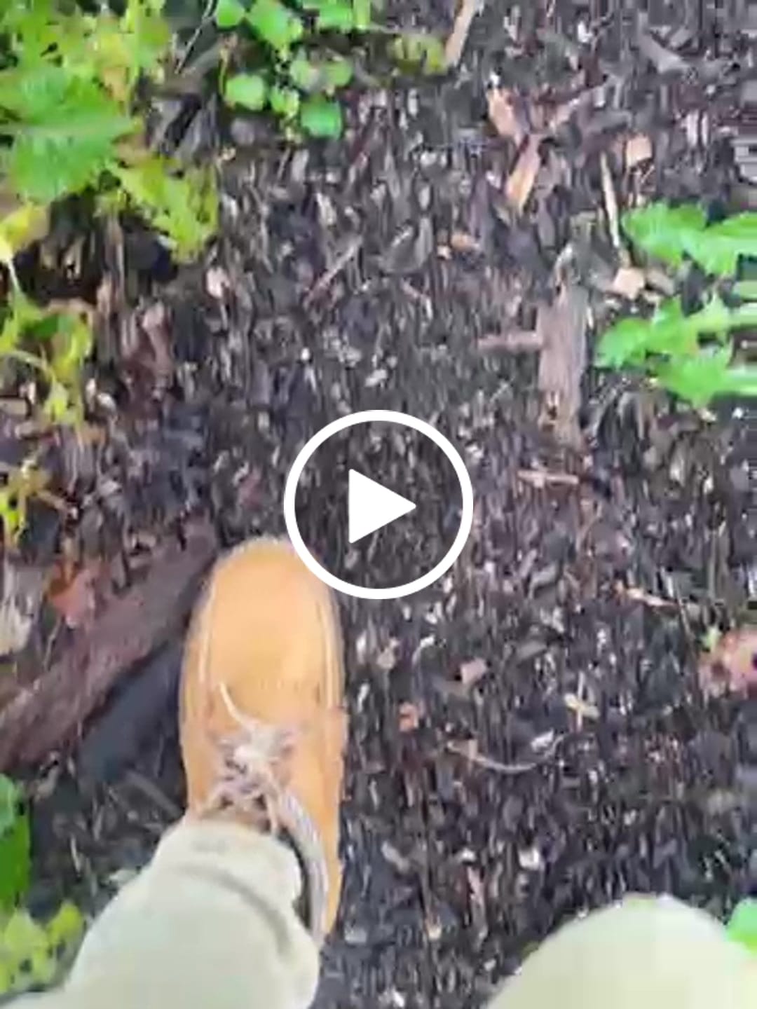 Customer video review of Men's Earthing Moose-Touch Leather Moccasin Boots