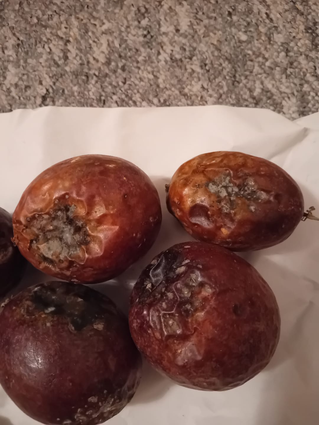 Customer photo review of Passionsfrüchte Bio von Julian Aktionswoche %