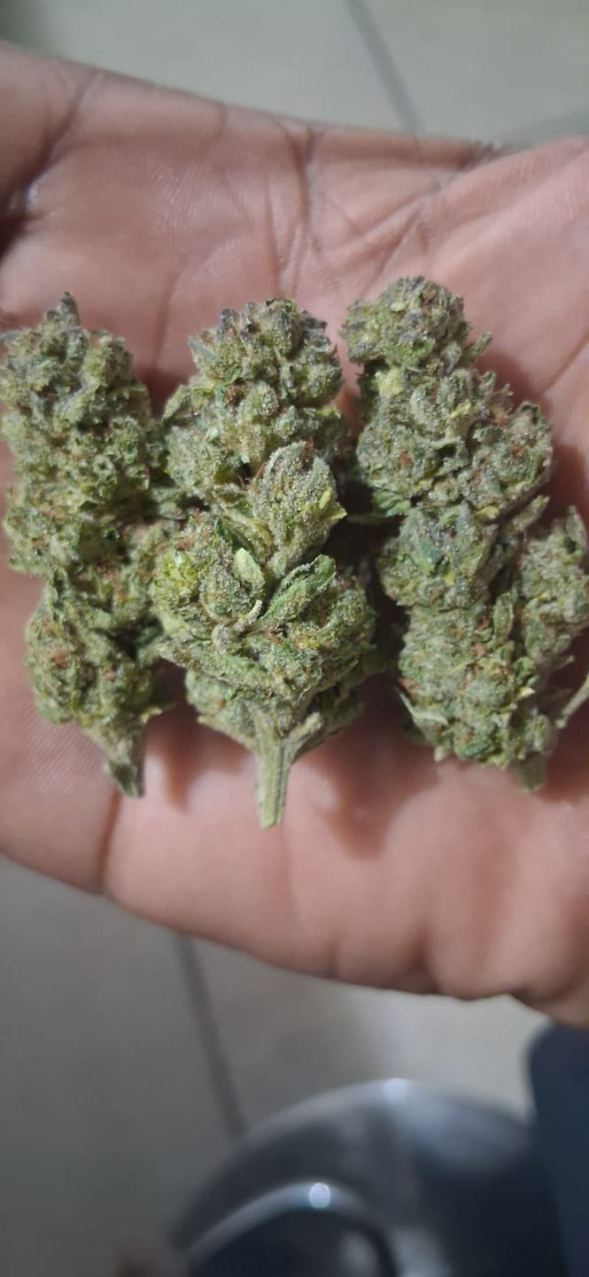 Customer photo review of Kush Pie Greenhouse THCA